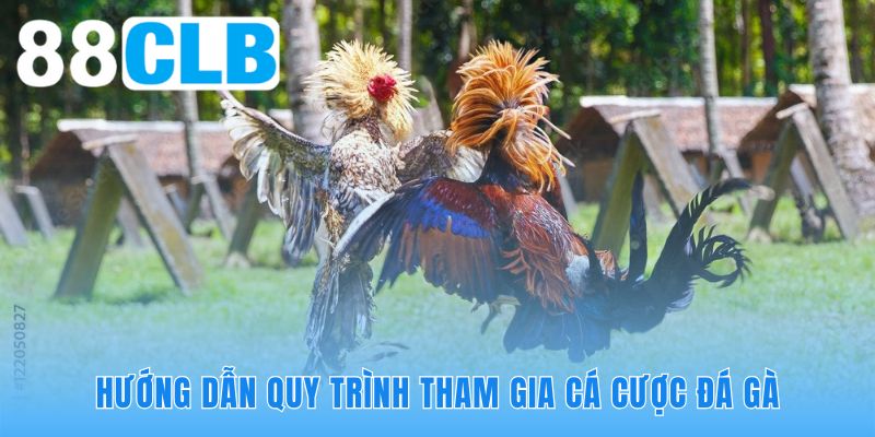 Quy trình bốn bước tối giản giúp bạn đặt cược nhanh chóng